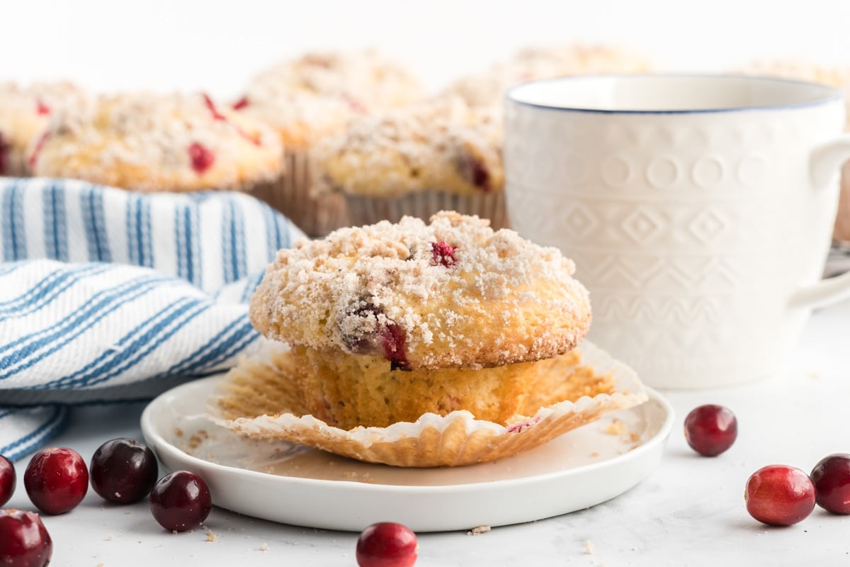 Bake Bakery-Style Cranberry Muffins: Easy One-Bowl Recipe